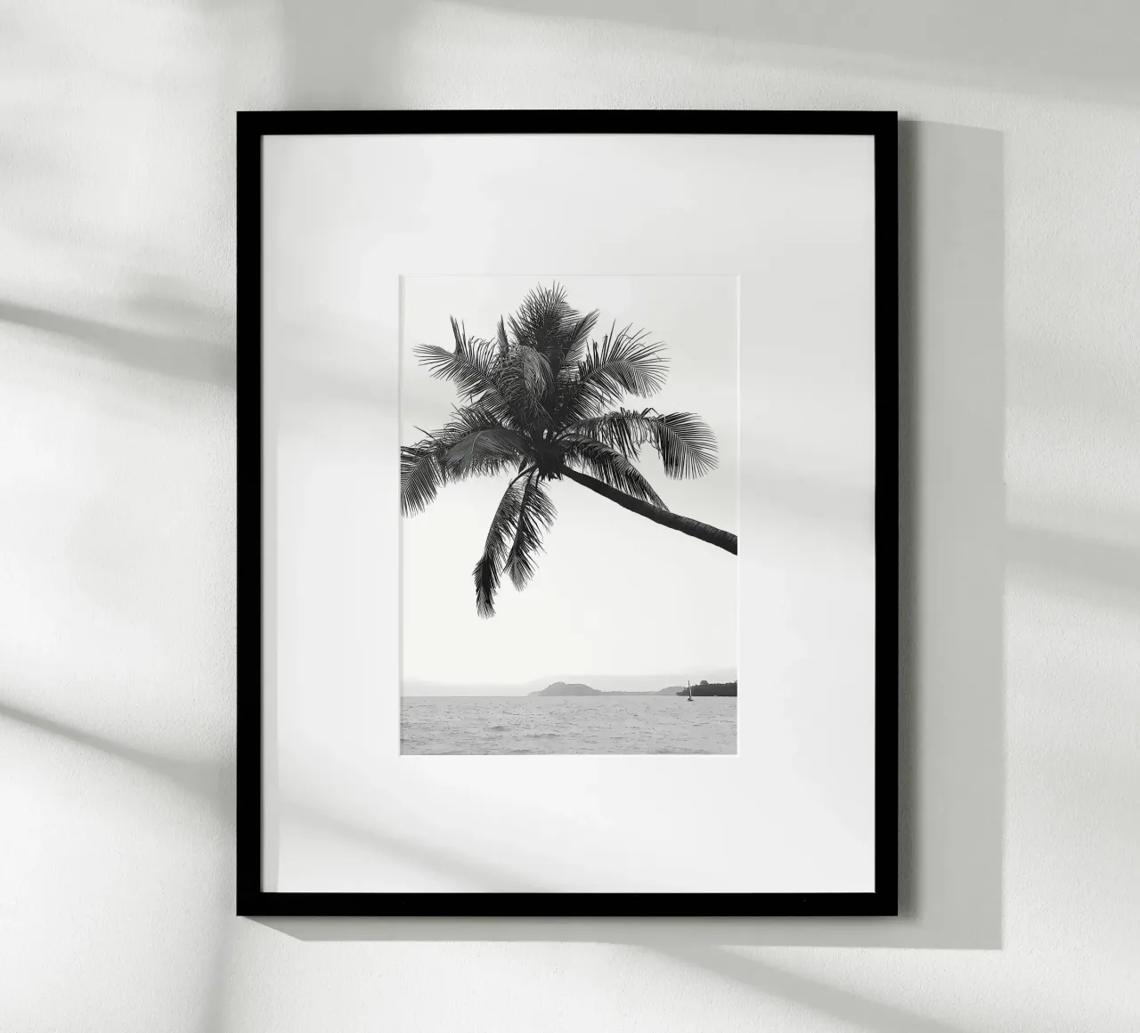 Palma poster da Matthew Katz