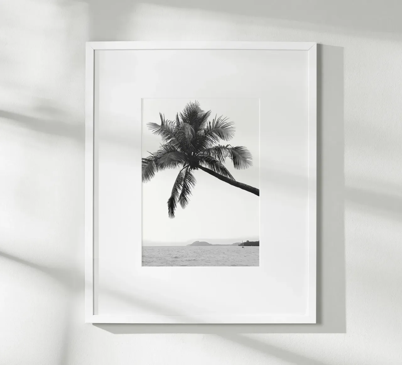 Palma poster da Matthew Katz