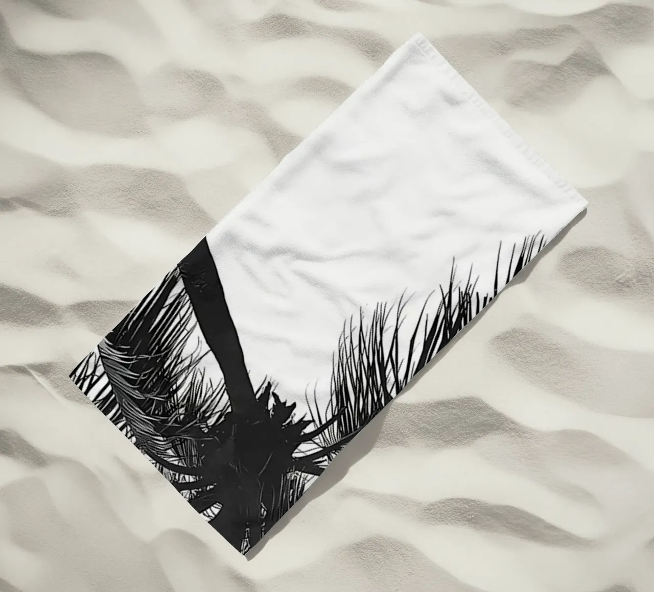 Palma telo mare da Matthew Katz