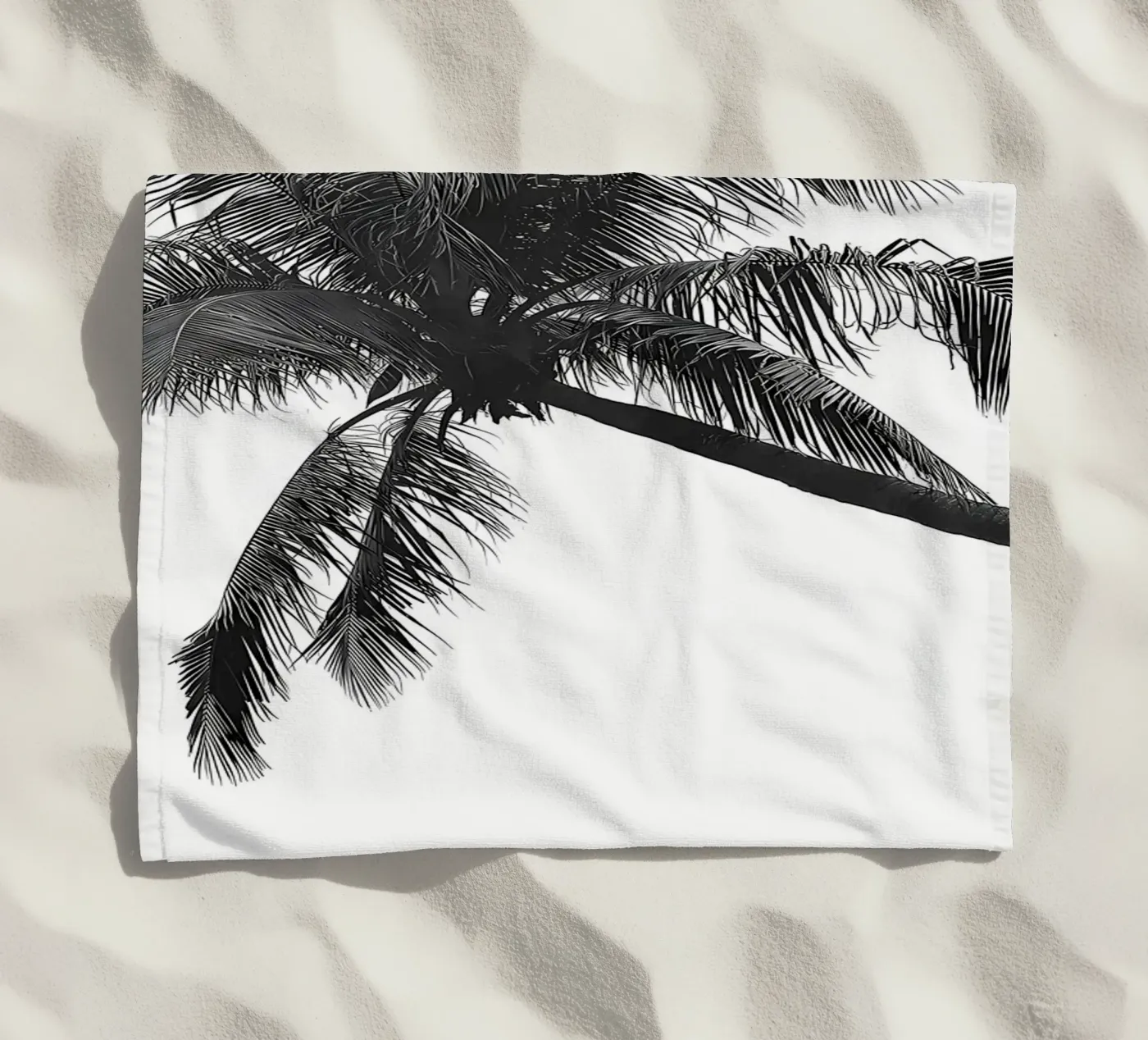 Palm tree telo mare da Matthew Katz