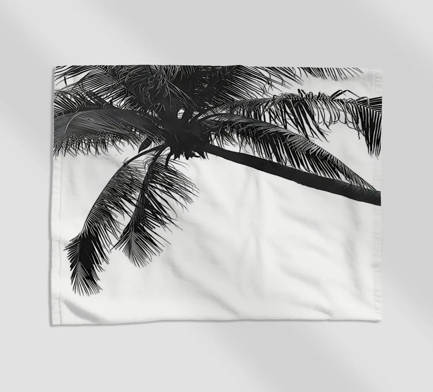 Palm tree telo mare da Matthew Katz