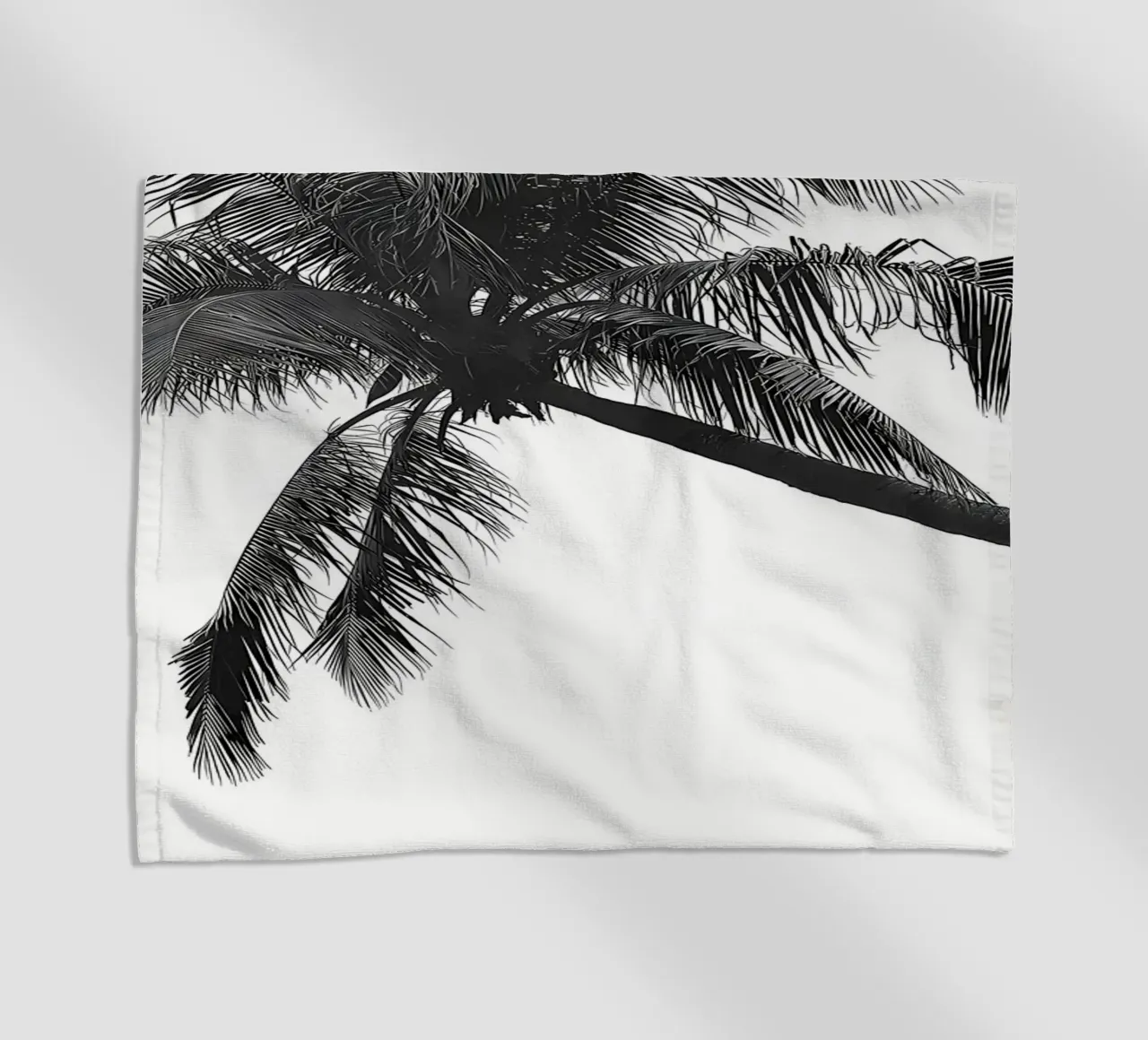 Palma telo mare da Matthew Katz