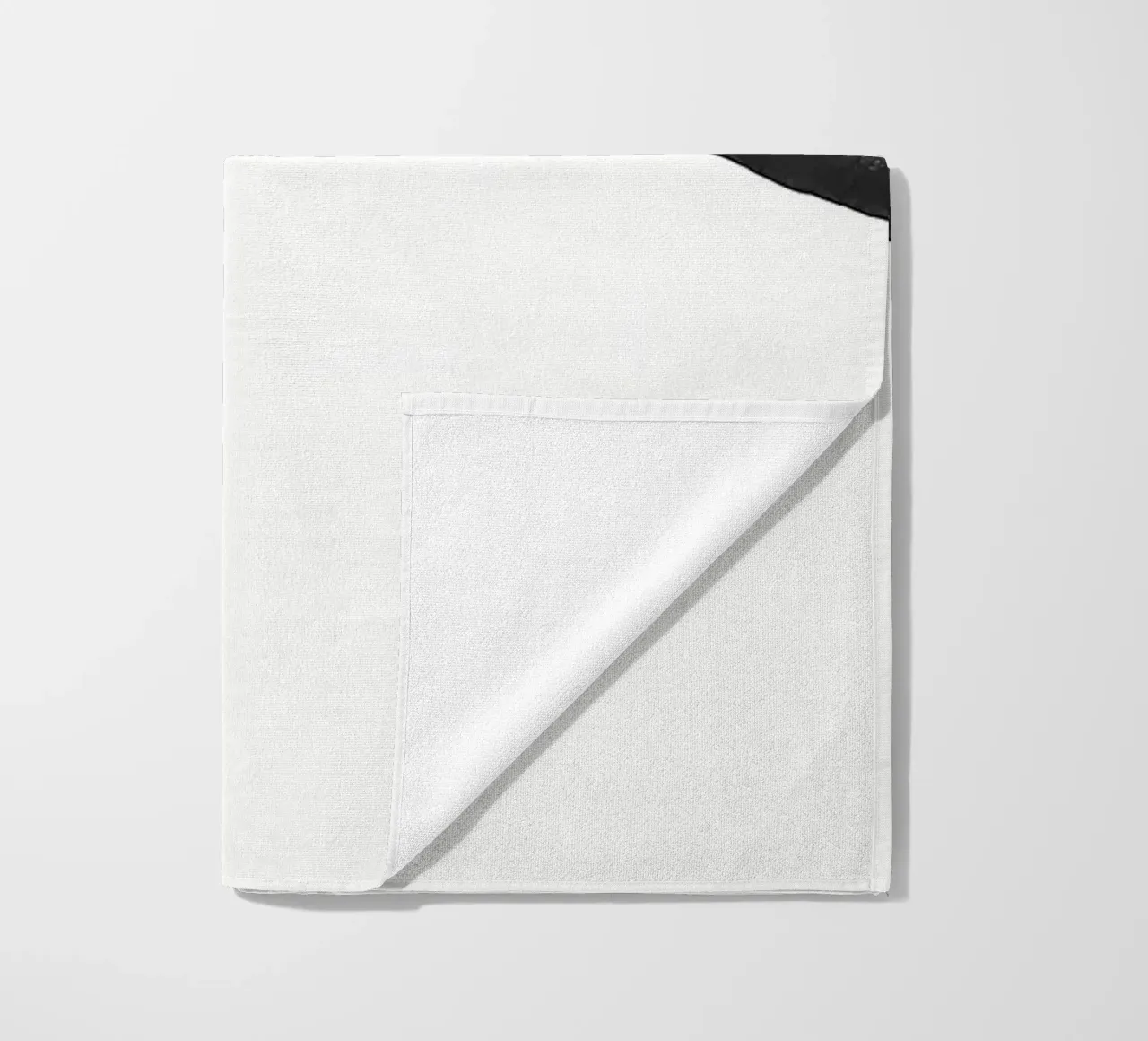 Palma telo mare da Matthew Katz