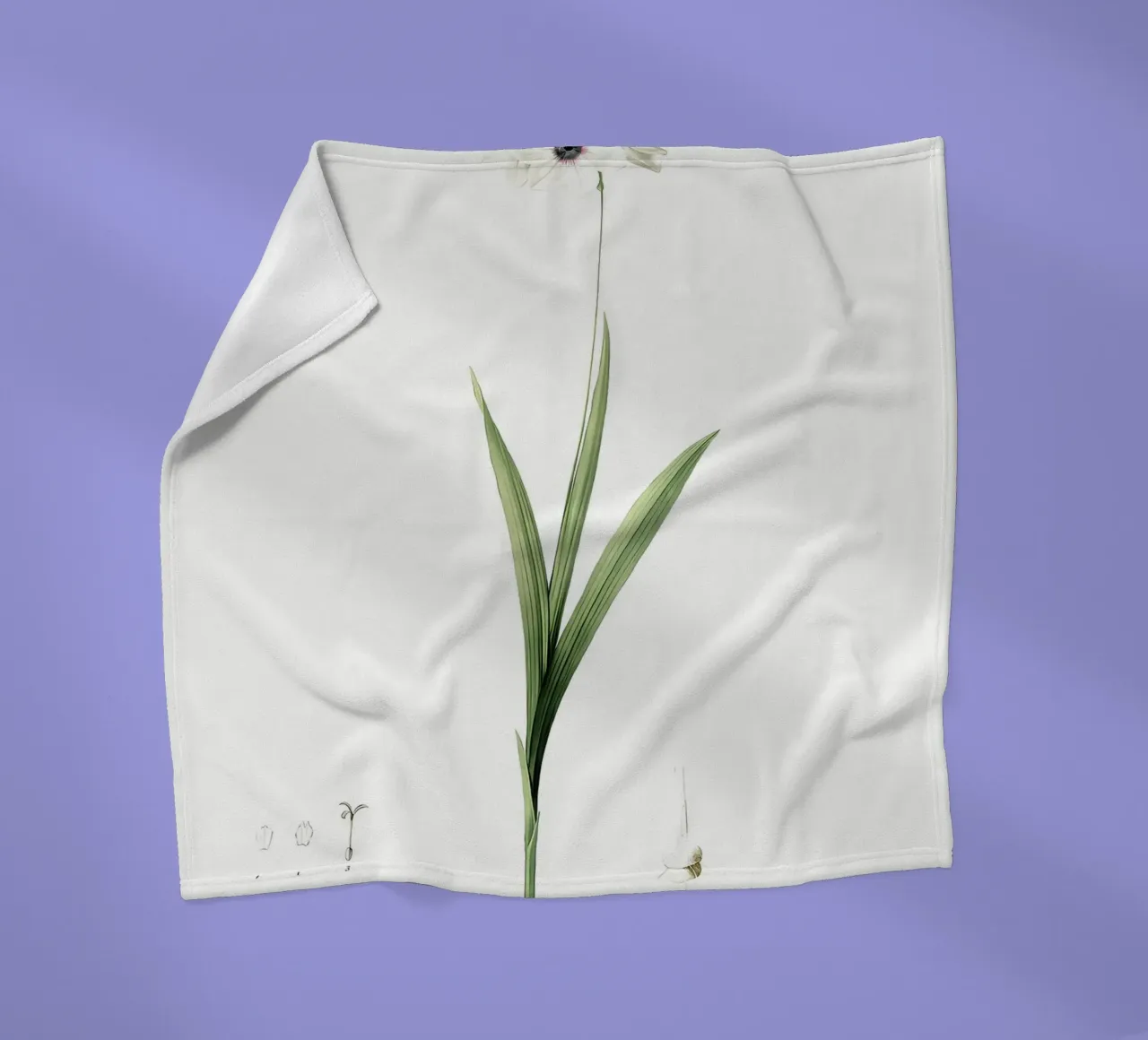 Liliaceae 1805 HQ Orig coperta in pile da Nicholas Campbell