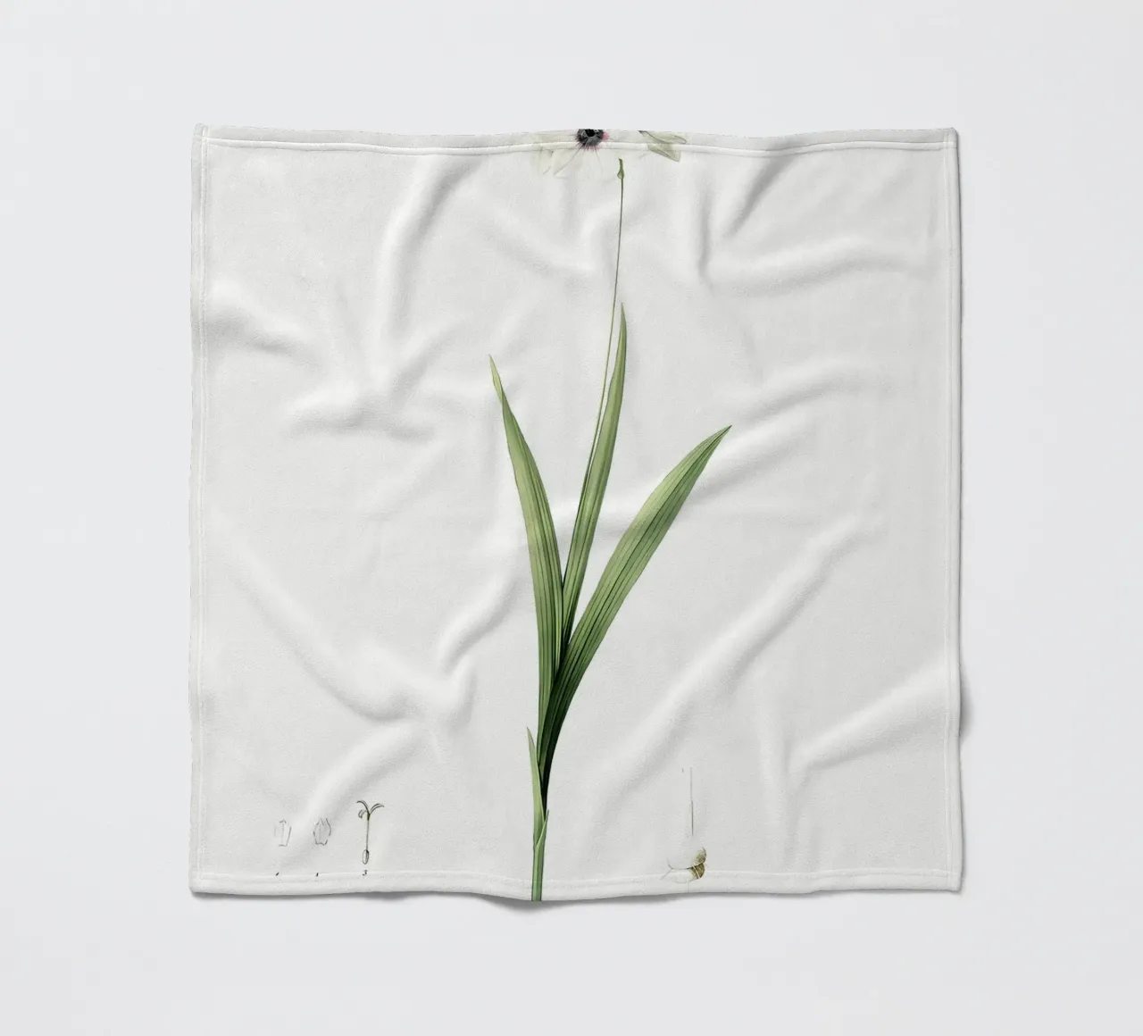 Liliaceae 1805 HQ Orig coperta in pile da Nicholas Campbell