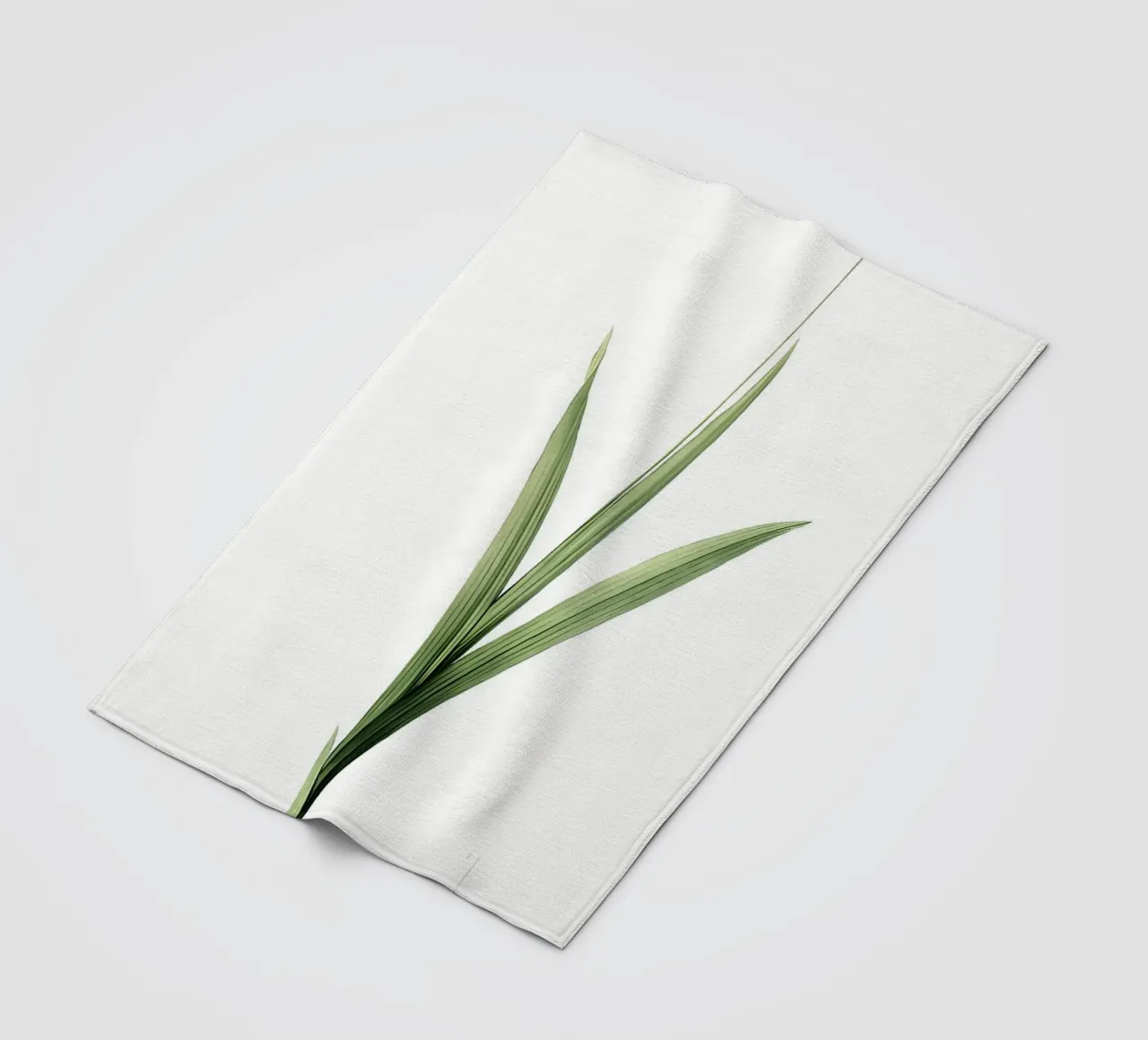 Liliaceae 1805 HQ Orig coperta in pile da Nicholas Campbell