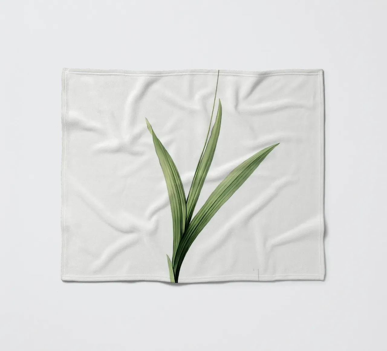 Liliaceae 1805 HQ Orig coperta in pile da Nicholas Campbell