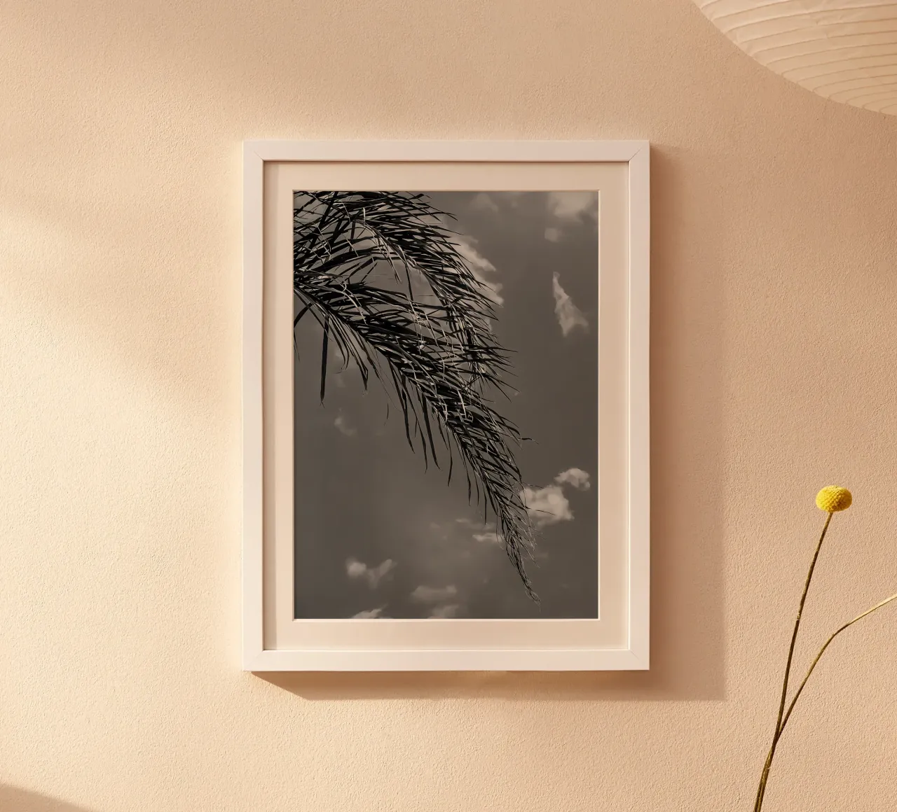 palm leaf and clouds hahnemühle by Matthew Katz