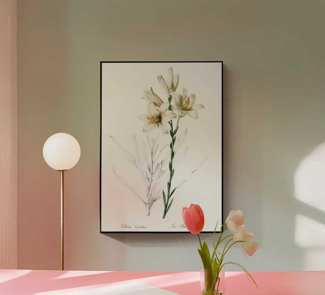 Liliaceae 1805 HQ Orig plexiglass da Nicholas Campbell