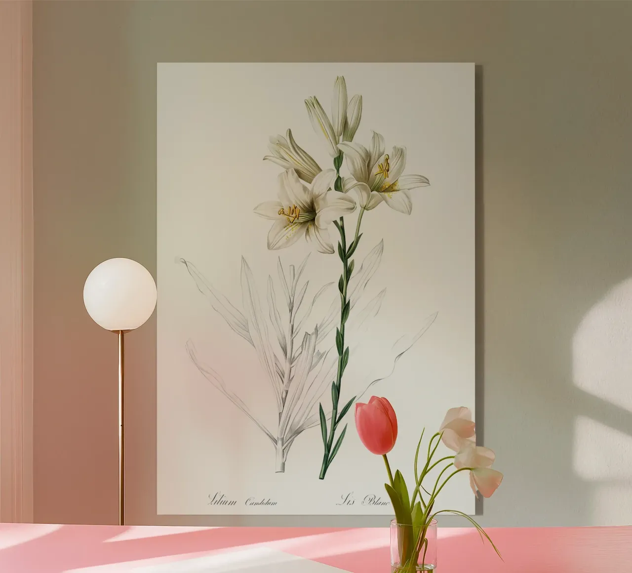 Liliaceae 1805 HQ Orig plexiglass da Nicholas Campbell