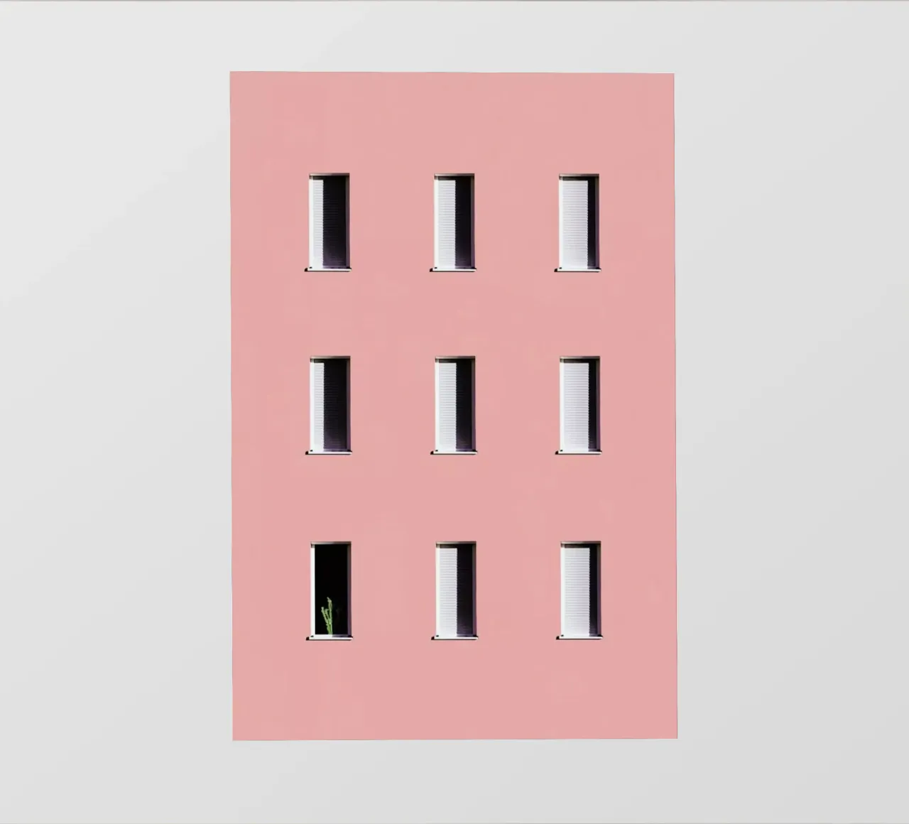 Sunbathing Cactus telo in pvc da Rupert Höller