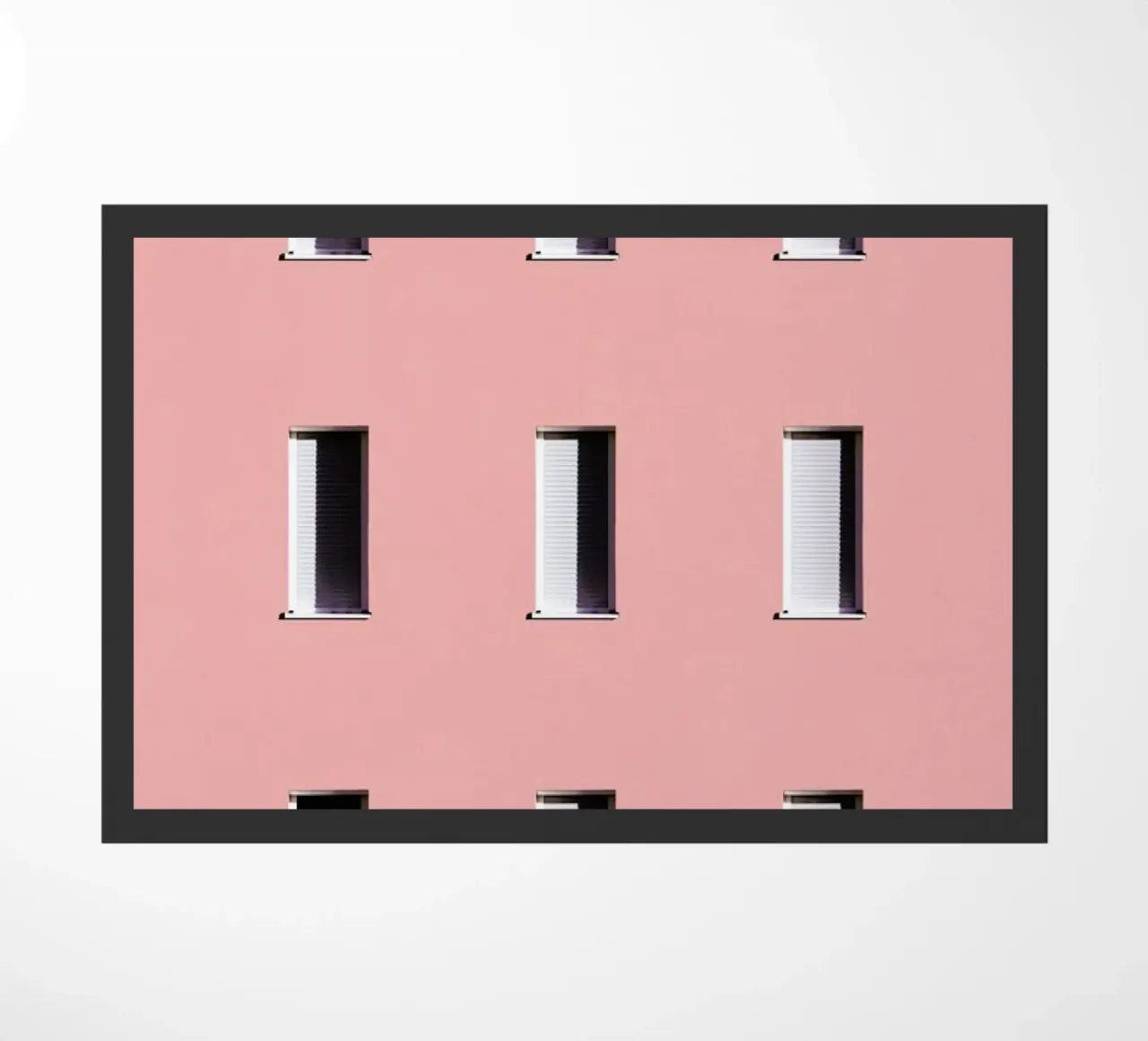 Sunbathing Cactus zerbino da Rupert Höller