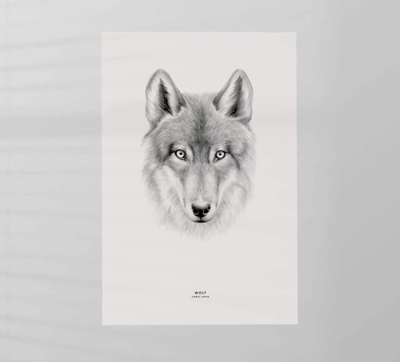 Wolf pellicola backlit da Flora & Fauna