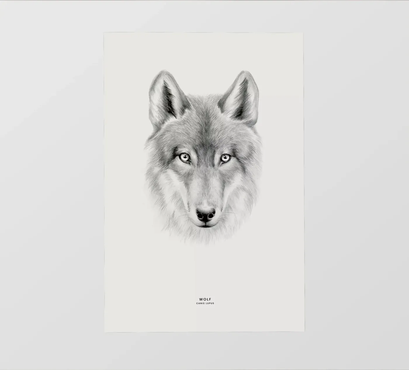 Wolf telo in pvc da Flora & Fauna