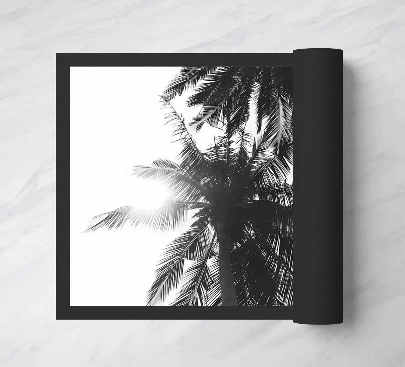 Palme zerbino da Matthew Katz