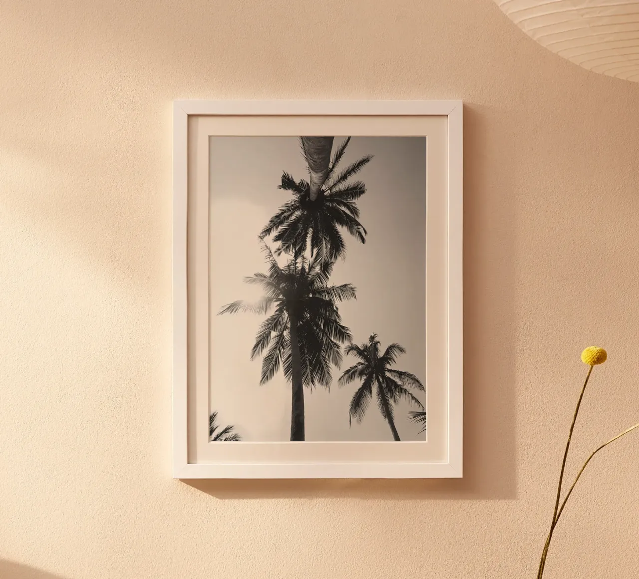 Palme poster da Matthew Katz