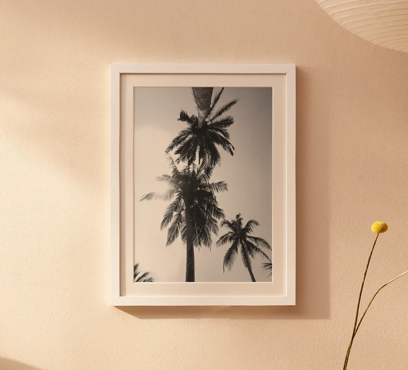 Palme poster da Matthew Katz