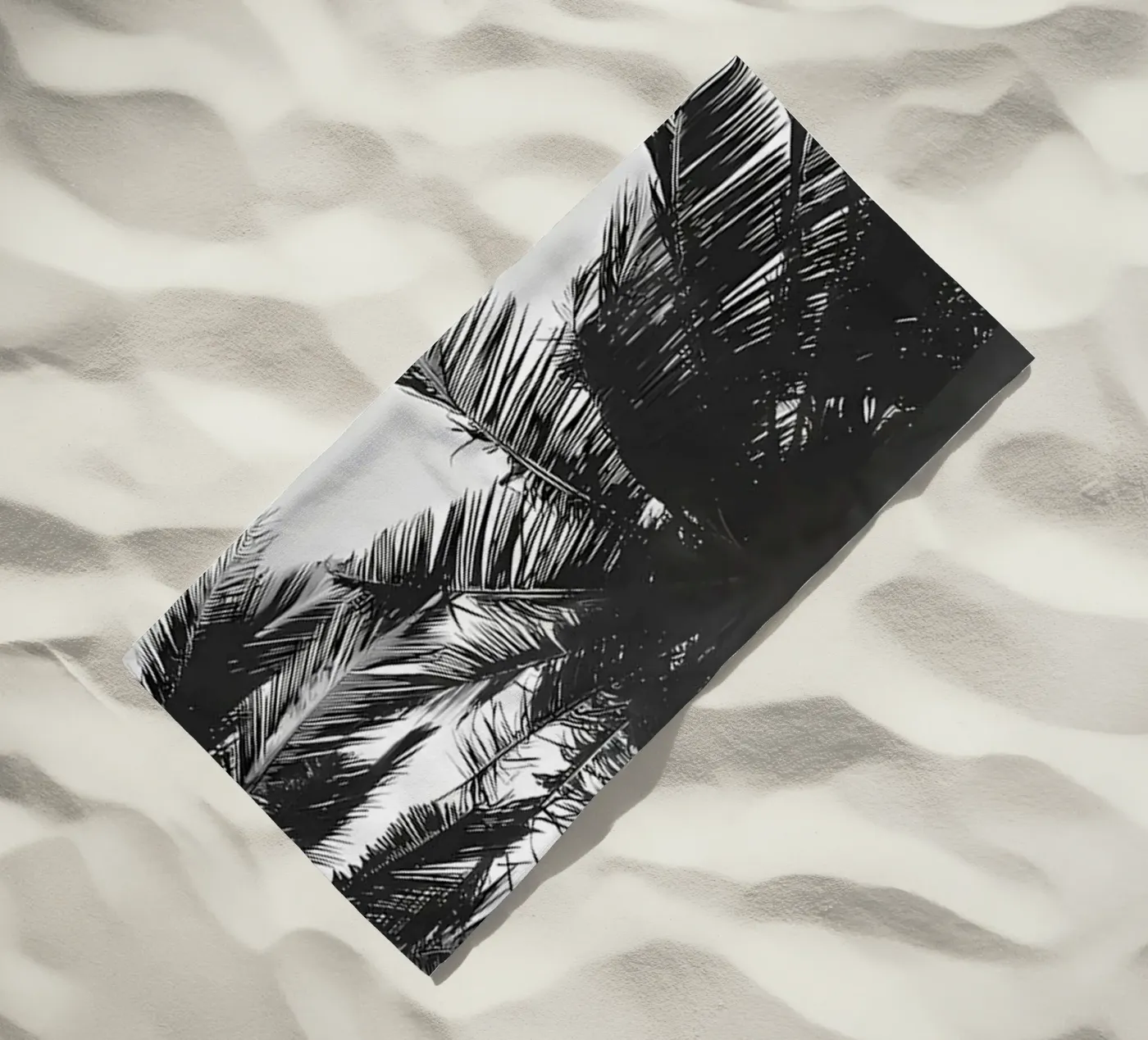 Palme telo mare da Matthew Katz