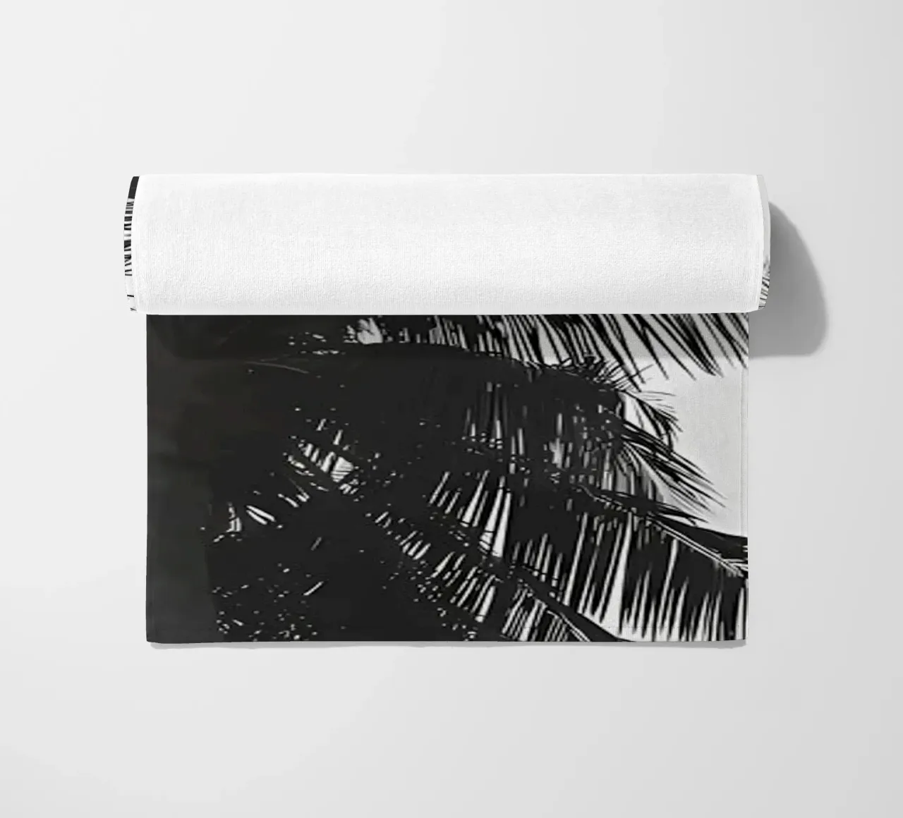 Palms telo mare da Matthew Katz