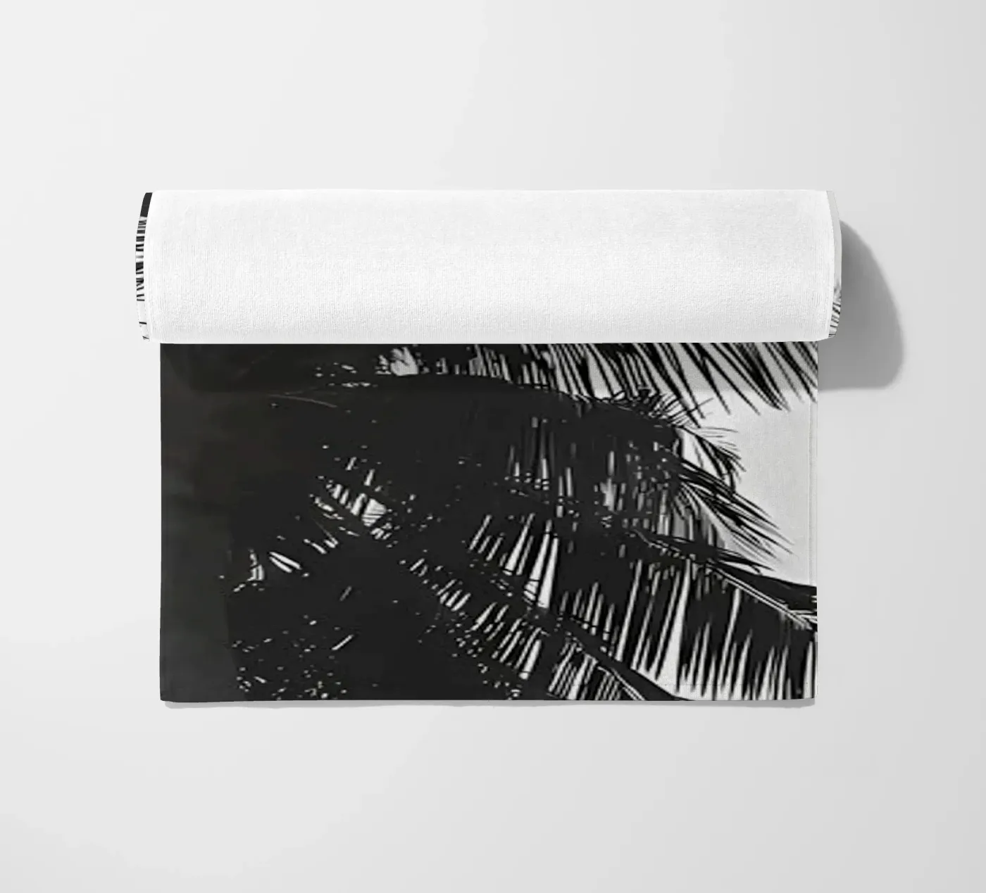 Palme telo mare da Matthew Katz