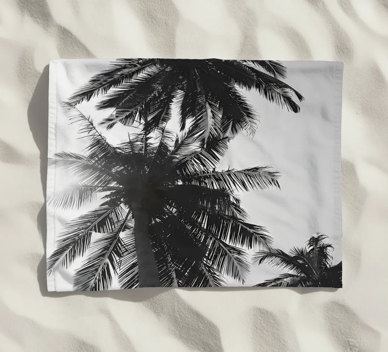 Palms telo mare da Matthew Katz