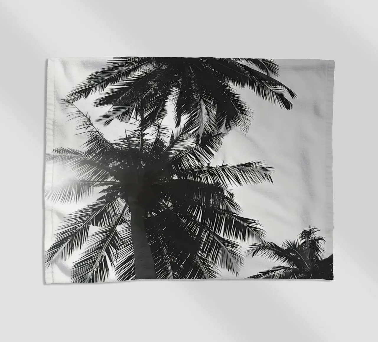 Palms telo mare da Matthew Katz