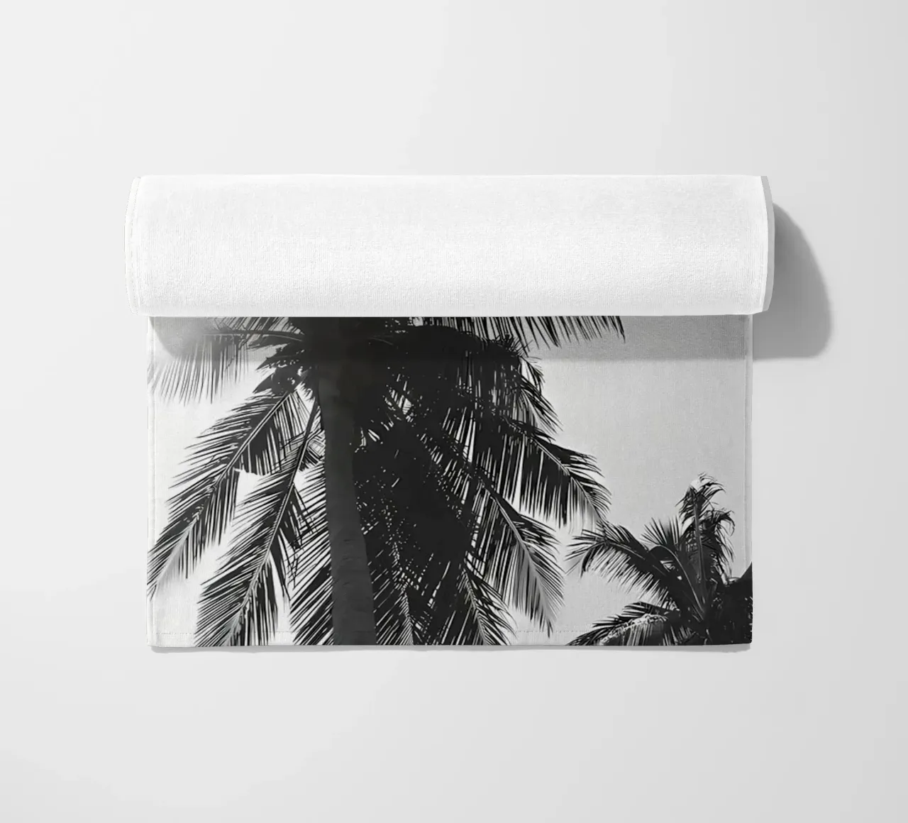 Palms telo mare da Matthew Katz