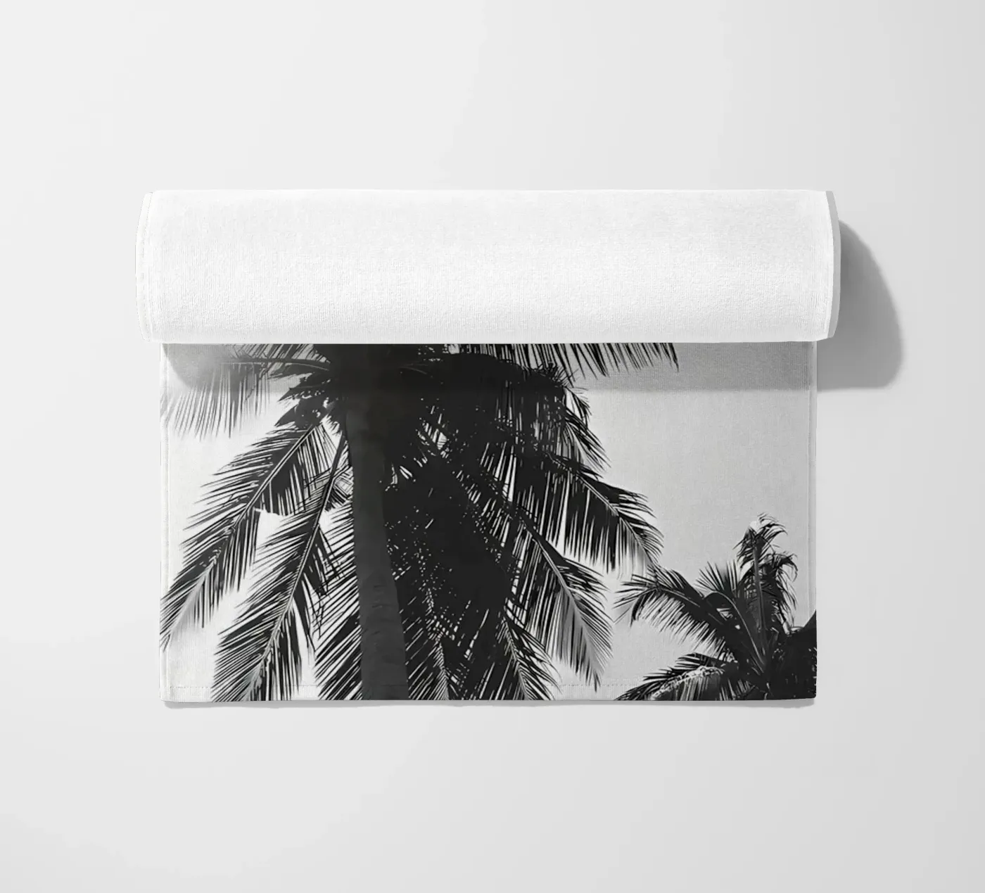 Palme telo mare da Matthew Katz