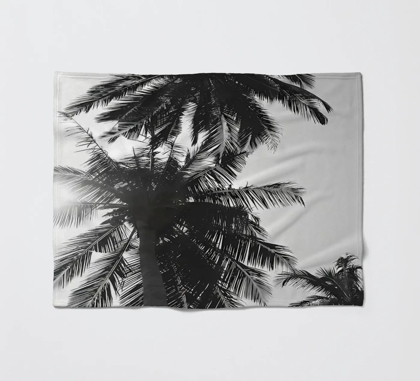 Palms fleece blanket by Matthew Katz
