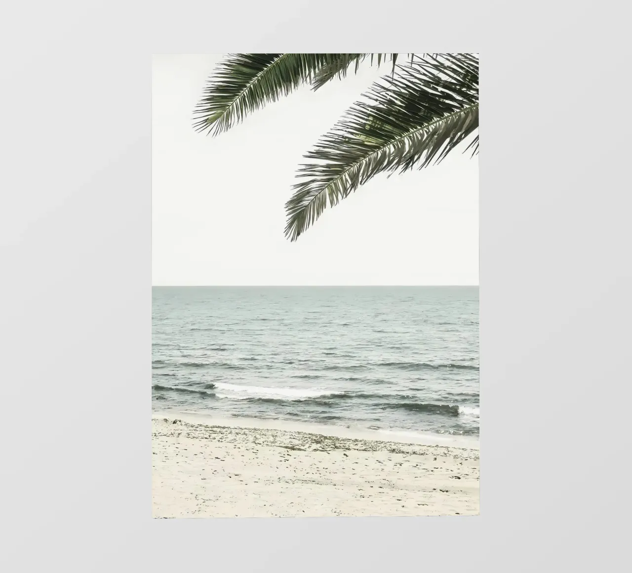 Solaris 03 pellicola backlit da Matthew Katz