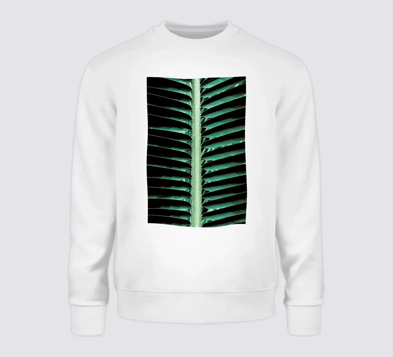 Palm Edges felpa da Flora & Fauna