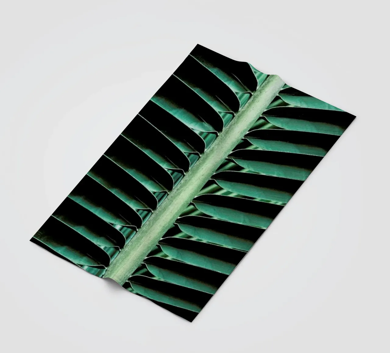 Palm Edges coperta in pile da Flora & Fauna