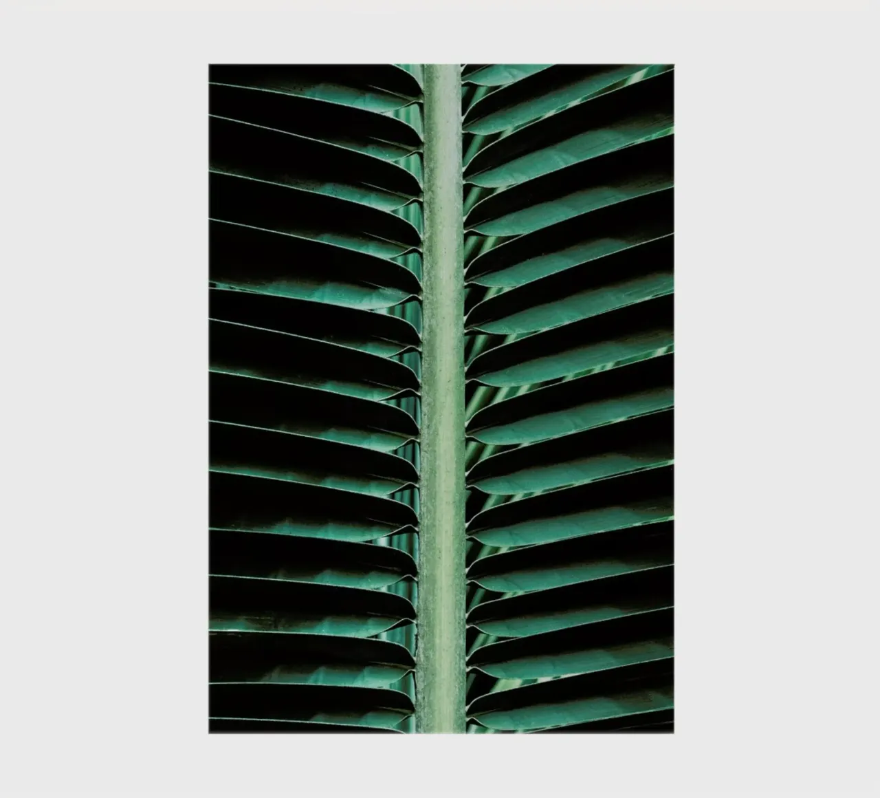 Palm Edges notebook by Flora & Fauna