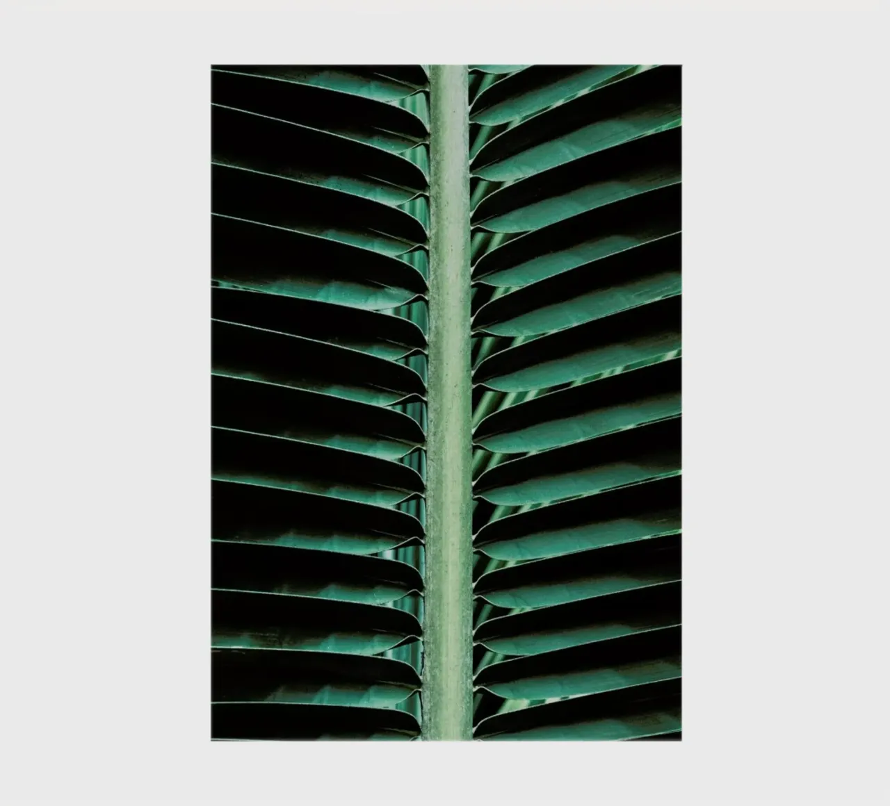 Palm Edges notebook by Flora & Fauna