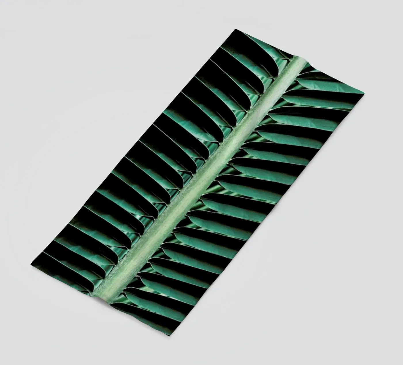 Palm Edges telo mare da Flora & Fauna