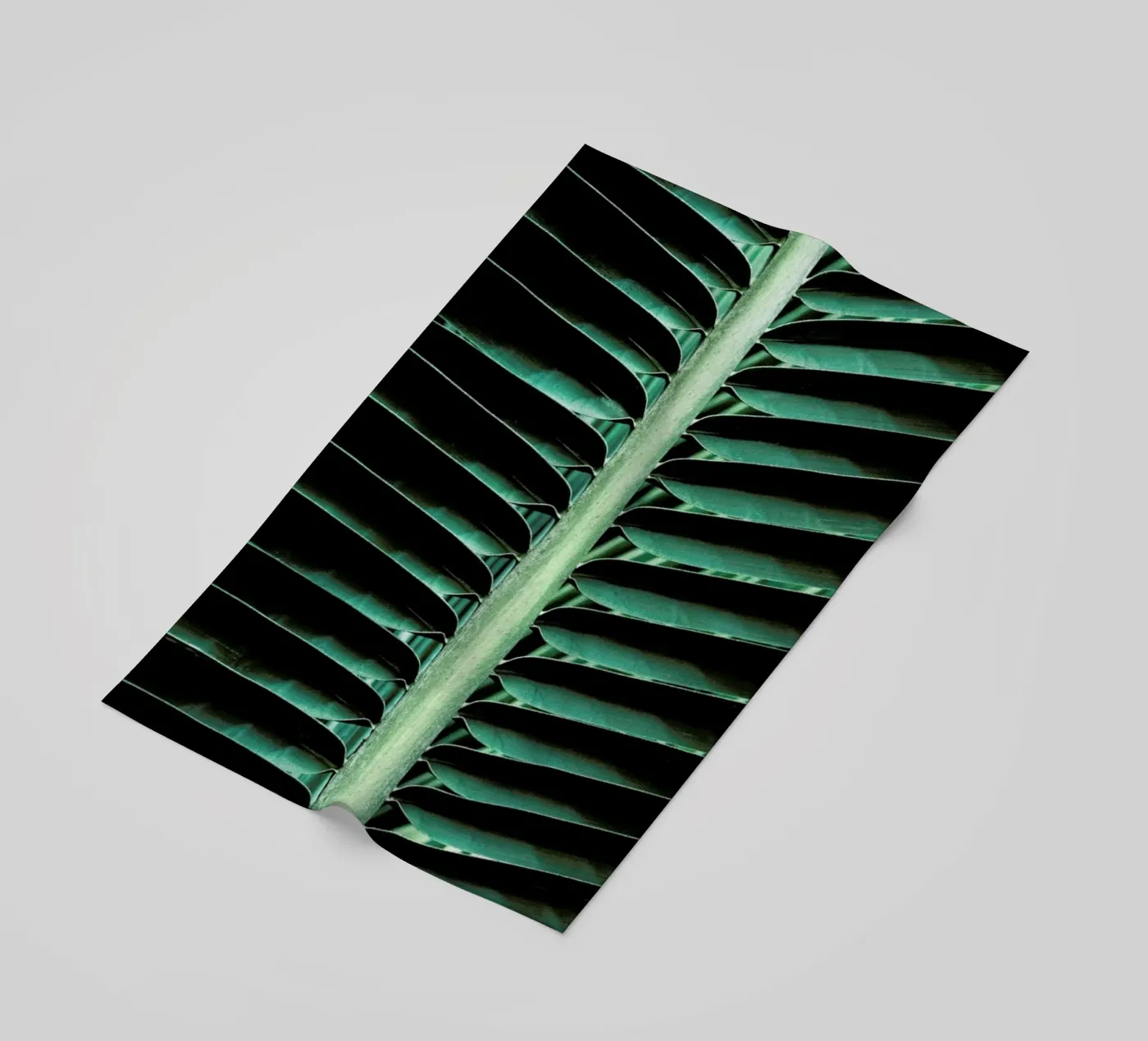 Palm Edges telo mare da Flora & Fauna