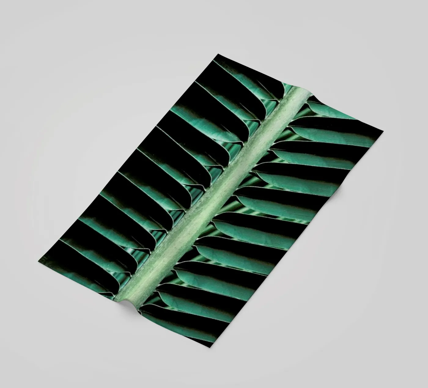 Palm Edges telo mare da Flora & Fauna