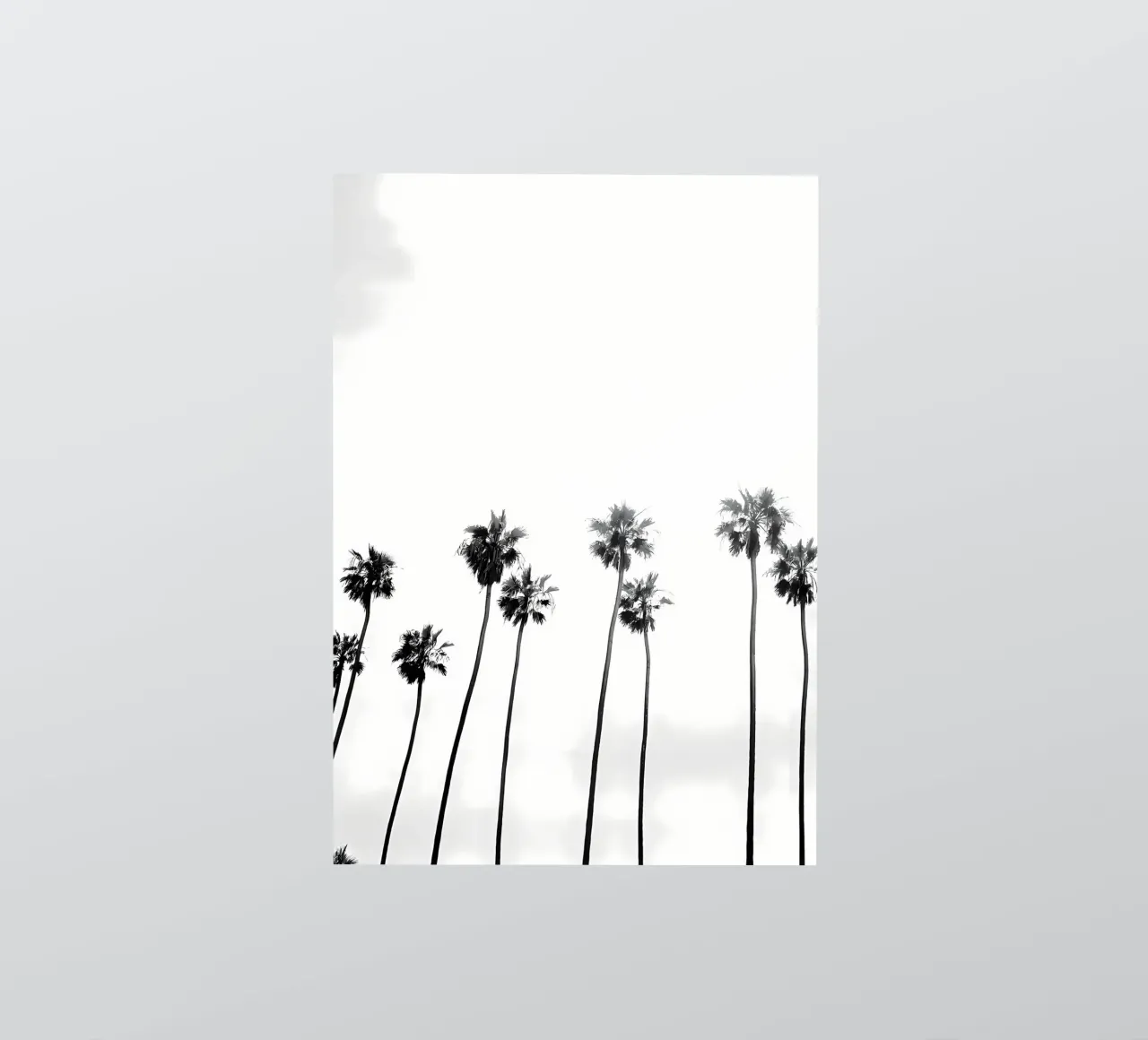 Beach Palm Trees sticker by Matthew Katz
