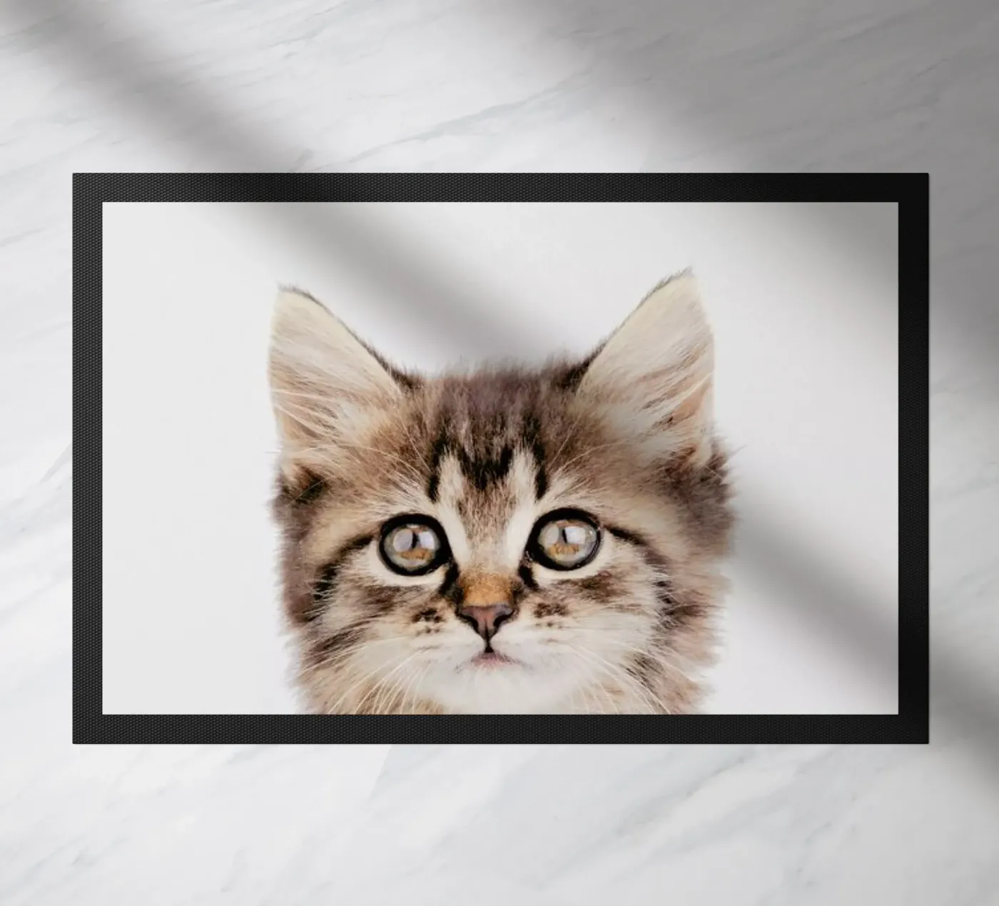 Kitten II zerbino da Paws & Claws