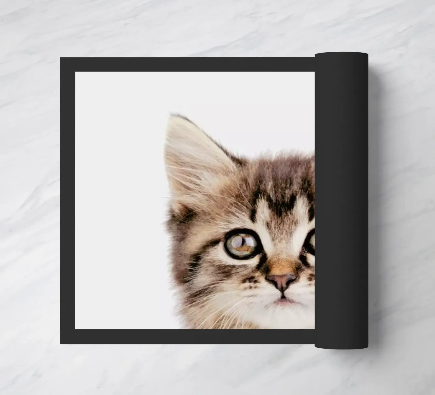 Kitten II zerbino da Paws & Claws