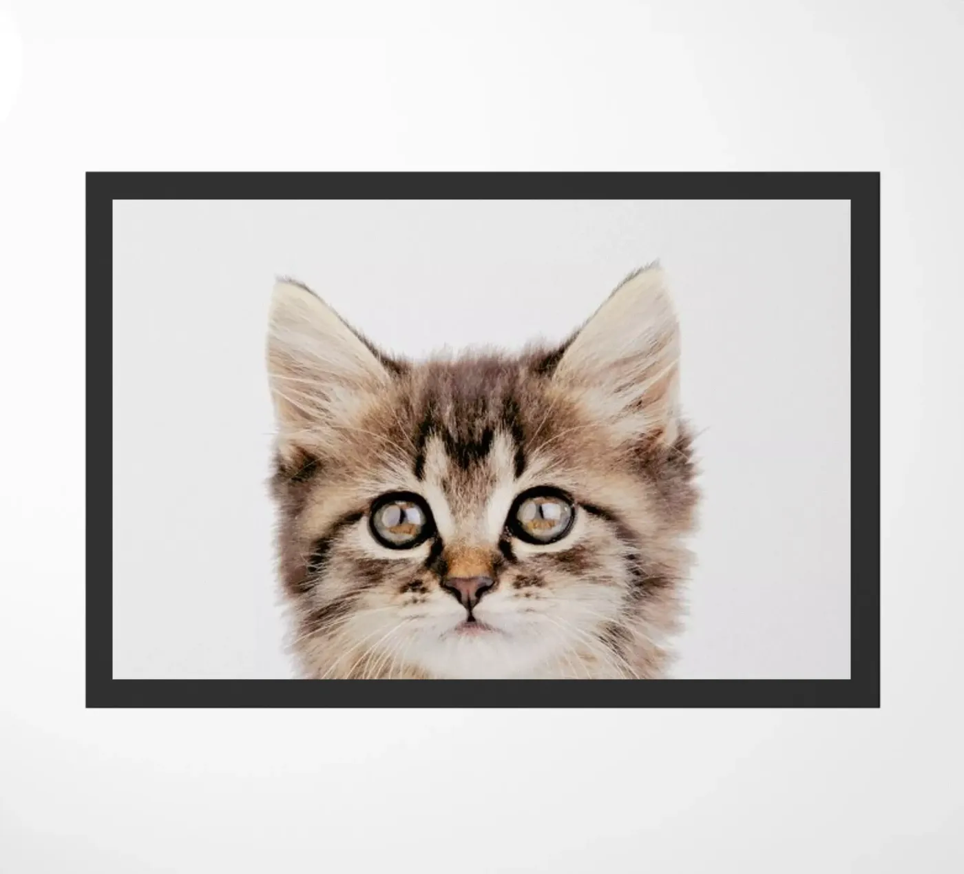 Kitten II zerbino da Paws & Claws