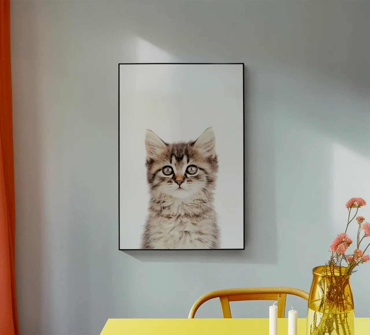 Kitten II plexiglass da Paws & Claws