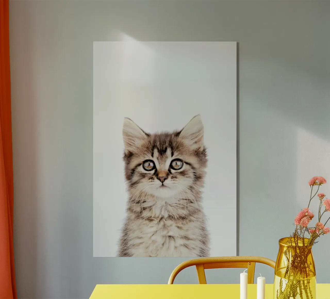 Kitten II plexiglass da Paws & Claws