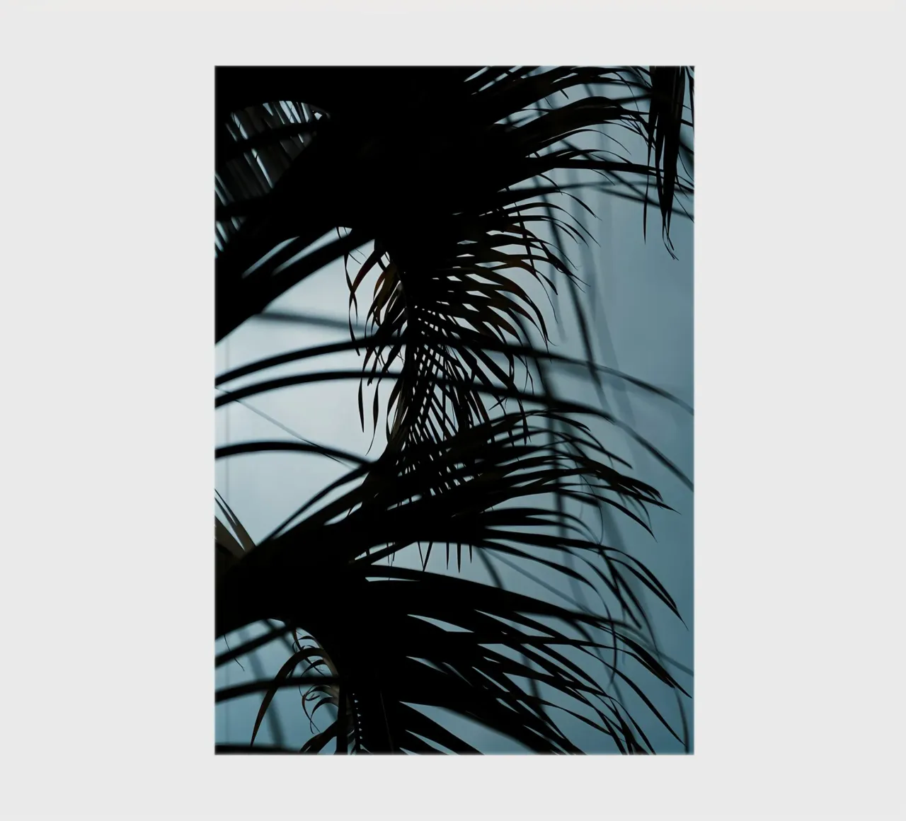 Palm tree leaves 1 notebook by Matthew Katz
