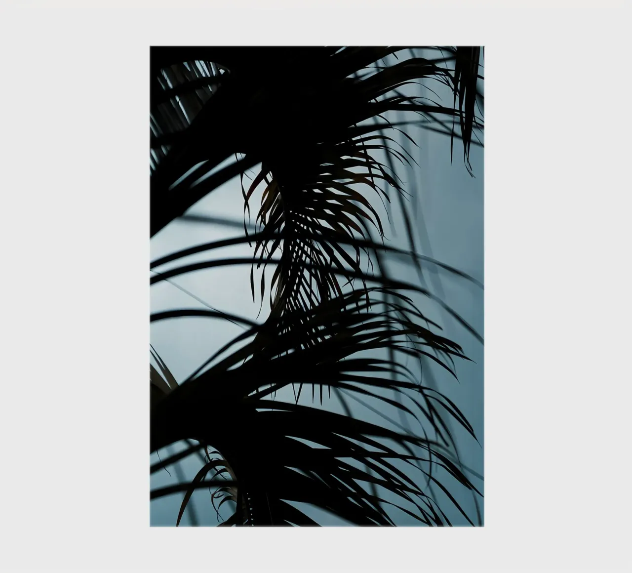 Palm tree leaves 1 notebook by Matthew Katz