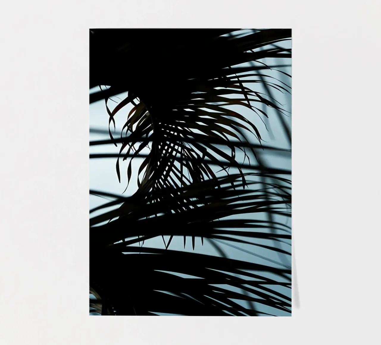 Palm tree leaves 1 sticker sheet by Matthew Katz