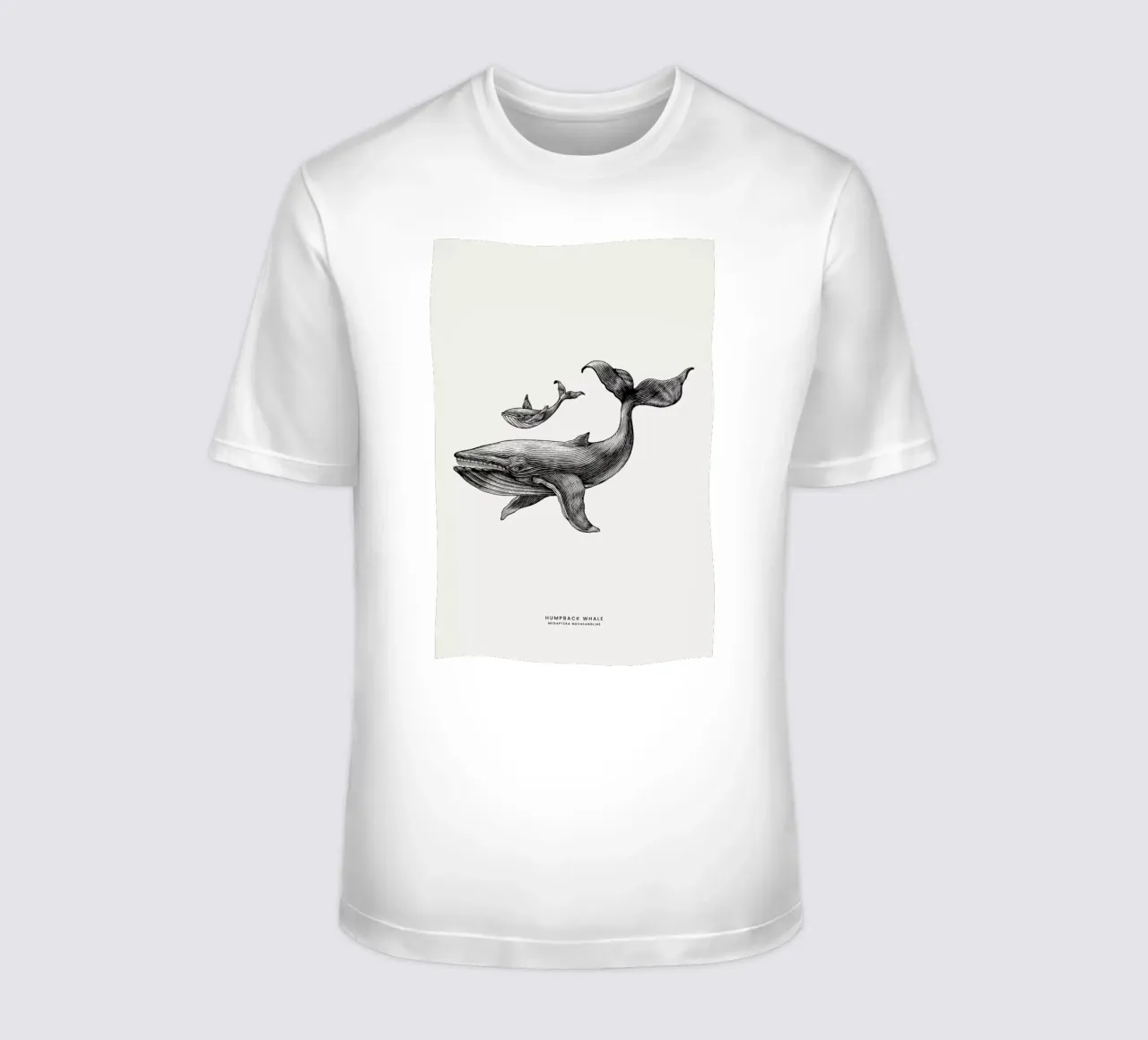 Humpback Whale t-shirt da Flora & Fauna