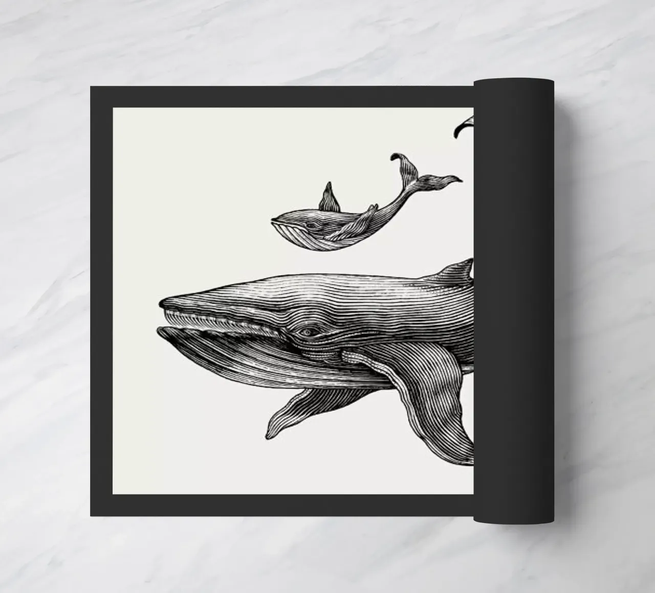 Humpback Whale zerbino da Flora & Fauna