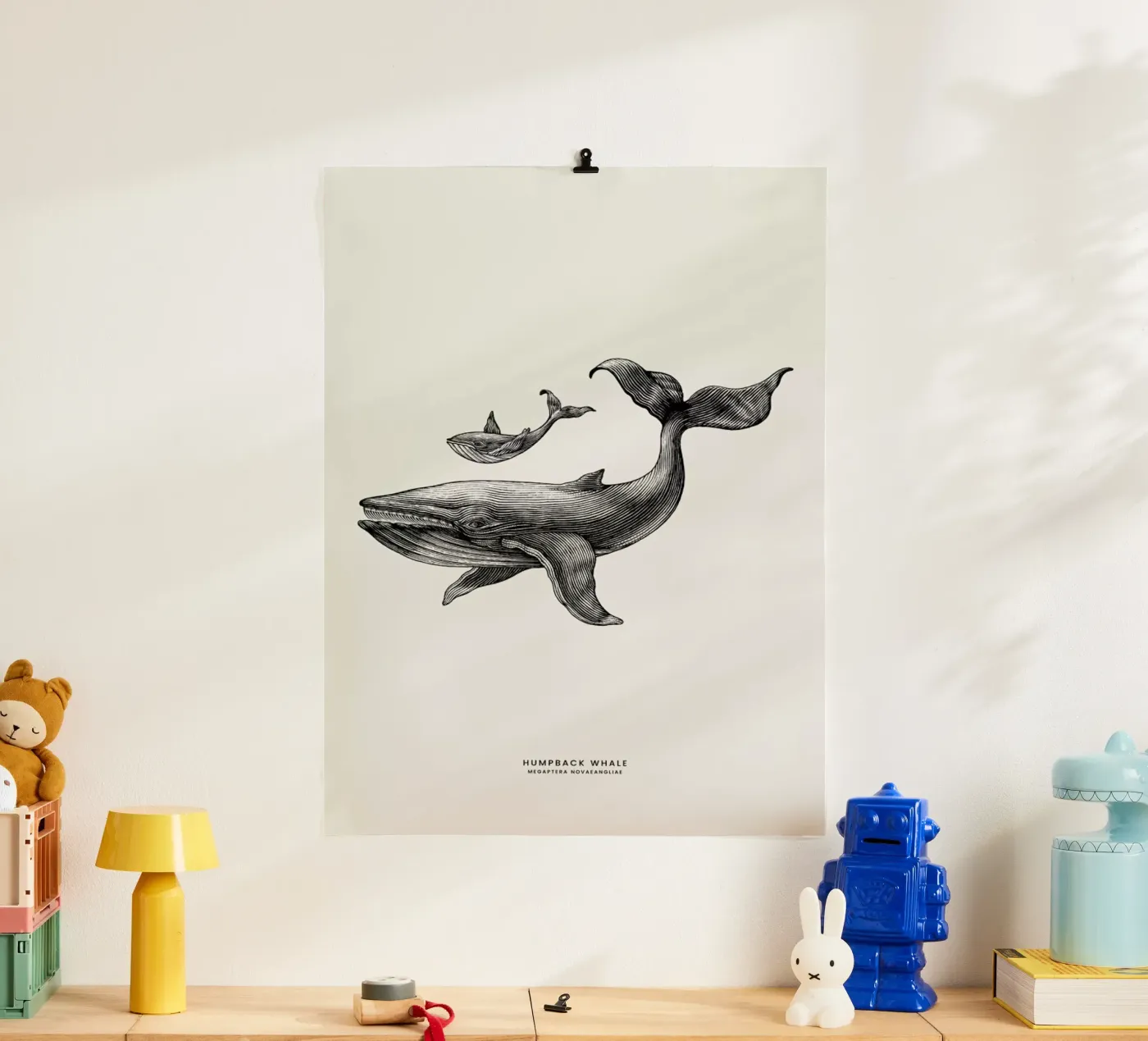 Humpback Whale poster da Flora & Fauna