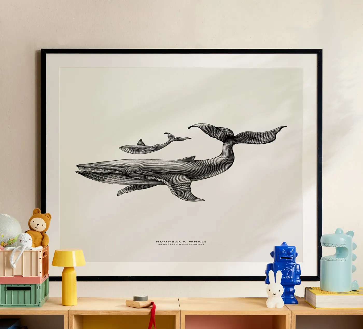 Humpback Whale poster da Flora & Fauna